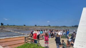 Salinas de Aveiro visita