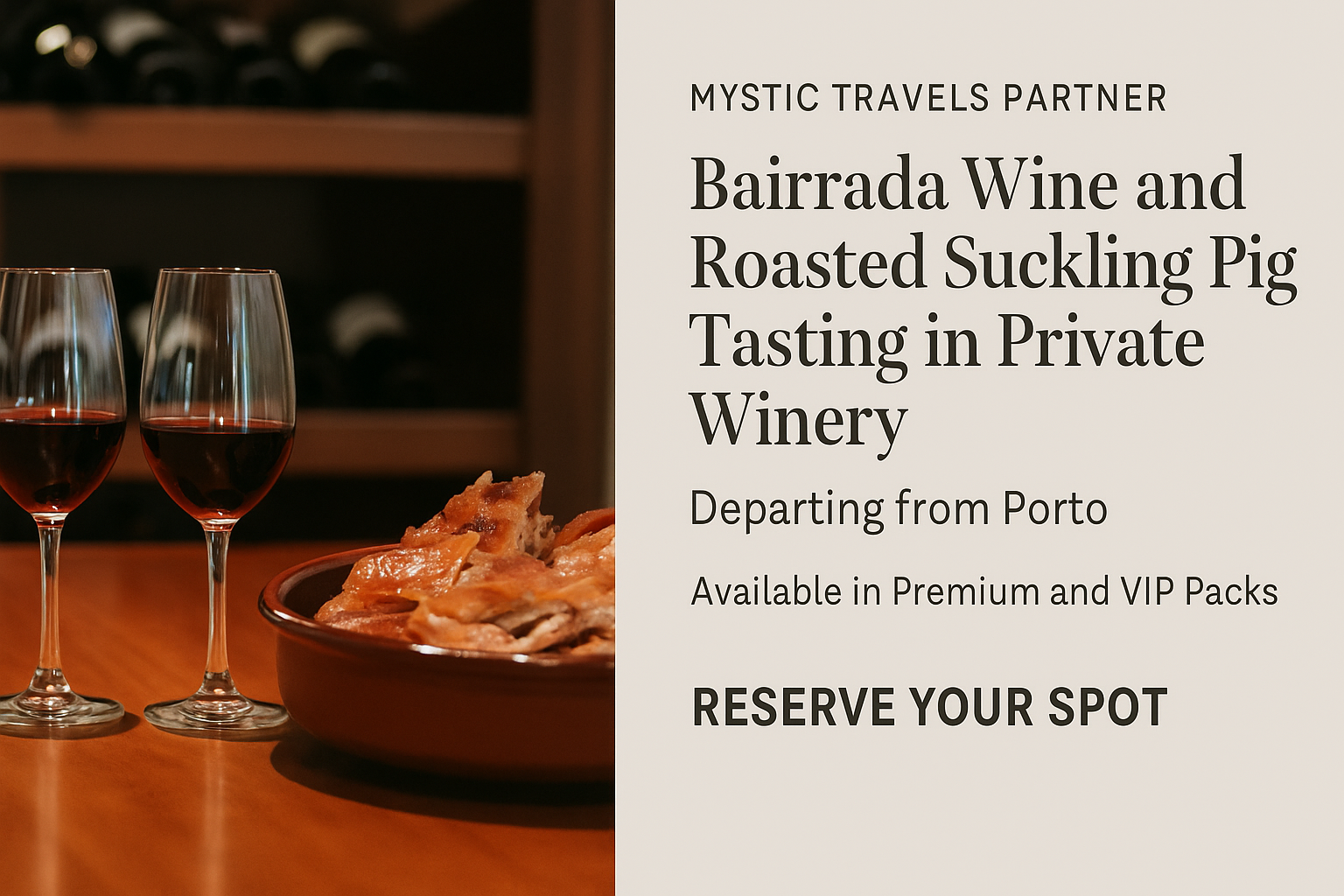degustacao vinhos leitao bairrada tour privado